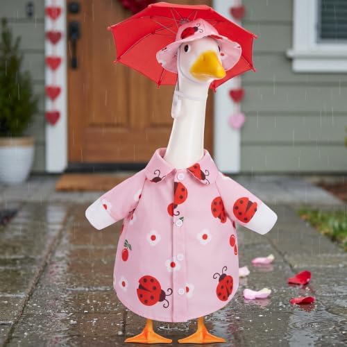 Soulchen 3 Pcs Summer Goose Outfit Porch Lawn, Ladybug Cherry, 23 Inch by Soulchen