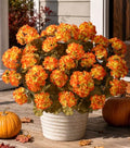 Fake Geraniums Artificial Flowers for Outdoors Autumn Decoration, 6 Bundles Silk Geraniums Look Real Faux Fall Flowers Plants for Front Door Garden Planter Patio Balcony Yard Home Indoor, OrangeYellow by HyeFloraartificialflowers