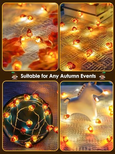 EXF Fall Decor Acorn Fairy Lights Battery Operated with Remote 10FT 30 LED - Image 5