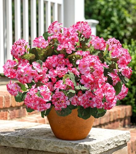 Artificial Geranium Fake Flowers for Outdoors Decoration, 6 Bundles Silk Geraniums Pink Flower UV Resistant Look Real Faux Plants for Outside Planter Front Door Garden Porch Patio Balcony Yard Home - Image 2