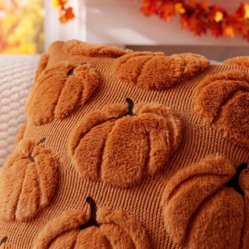 Fall Pillow Covers Pumpkin Fall Decor 12x20 Set of 2 Caramel - Image 2