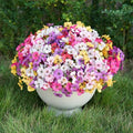 24 Bundles Artificial Flowers for Outdoor Faux Plants for Spring Summer Decoration, UV Resistant Realistic Silk Plastic Fake Flowers Garden Porch Patio Balcony Yard Front Home Decor by StymedecaArtificialFlowers