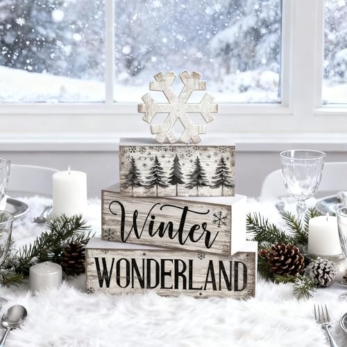 Lineshading 4 Pcs Winter Block Signs Wooden Farmhouse Tiered Tray Decor - Image 6