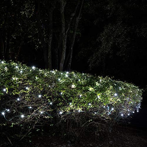 Wintergreen SoftTwinkle Pulsing Net Lights, Outdoor Twinkling Christmas Lights, Green Wire (70 Lights, 4' x 6' Net, Cool White) - Image 2
