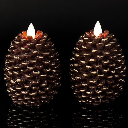 Wondise Flameless Candles with 6H Timer Battery Operated by Wondise