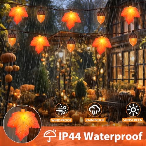 Couah 8.5 FT 3D Maple Leaf & Acorn Lights with 10 LED Plug in Fall String Lights for Indoor and Outdoor Home Bedroom Autumn Party Harvest Fall Decorations - Image 3