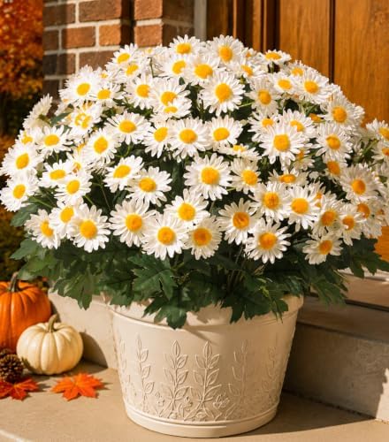 HyeFlora Artificial Fall Faux Mums Flowers Outdoor Plants for Decoration, 6 Bundles Fake Silk White Gerbera Daisy Flowers UV Resistant Look Real for Planter Outside Front Door Porch Patio Balcony by HyeFloraartificialflowers