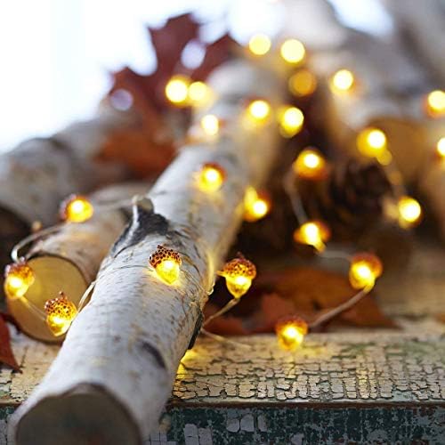 MIYA LIFE Fall String Lights (Acorn Fairy) - Image 2