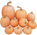 Winlyn 10 Pcs Assorted Artificial Orange Pumpkins Decorative Pumpkins Faux Light Orange Pumpkins Foam Pumpkins for Fall Harvest Autumn Wedding Thanksgiving Halloween Table Centerpiece Mantel Décor by Winlyn
