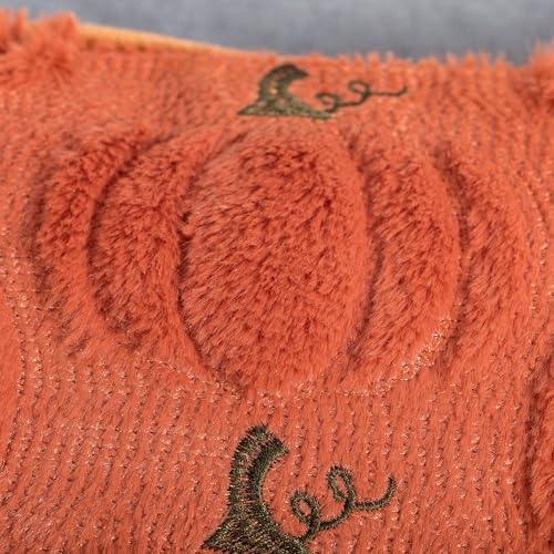 Fall Pumpkin Pillow Covers 16x16 Set of 2 Rust Red Fall Farmhouse Decor - Image 2