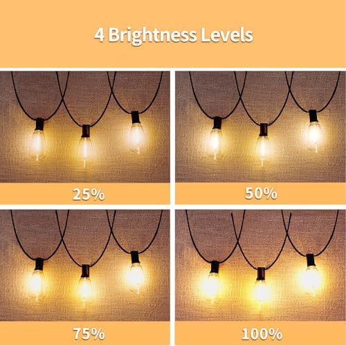 SANBEN Outdoor String Lights-50ft 25+1 ST38 Bulbs Patio Lights with Remote - Image 4