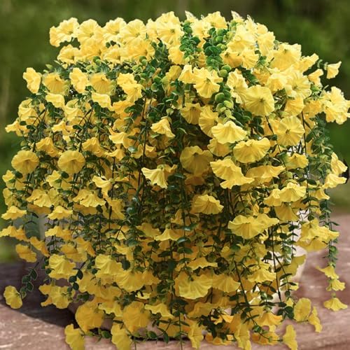 2 Pcs Look Real Artificial Flowers for Outdoors Artificial Hanging Flowers for Outdoors, UV Resistant Fake Hanging Plants Silk Petunia Faux Flowers for Porch Yard Spring Decor (Yellow) by Vopie