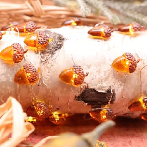 MIYA LIFE Fall String Lights (Acorn Fairy) - Image 3