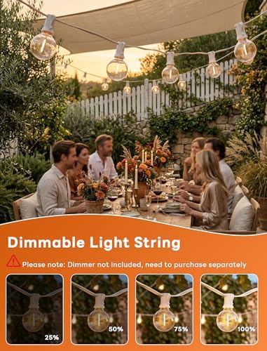 Abeja 25Ft LED Outdoor String Light, Patio Globe String Lights - Image 5