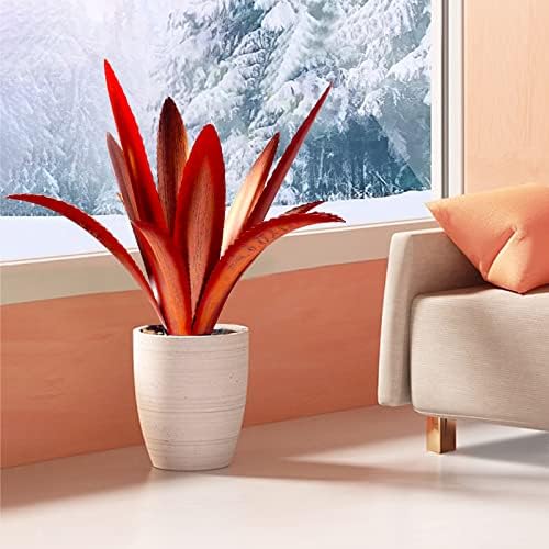 TOMBABY Enlarge Thickened Wind Resistant Metal Agave Garden Art Metal Plant Country Garden Sculpture Statue Outdoor Decoration Agave Metal Plant Courtyard Lawn Ornament Gift (2, 12 Leaves red) - Image 4