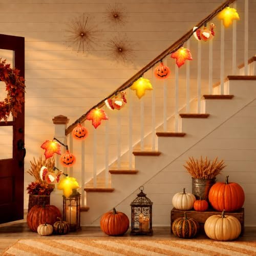 Fall Decor, Fall Turkey Lights, 8.5 FT 10LED Thanksgiving Lights, Outdoor - Image 7