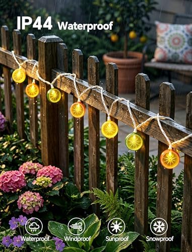 8.5Ft Lemon String Lights,10 LED Summer Outdoor Fairy Lights Plug in - Image 3