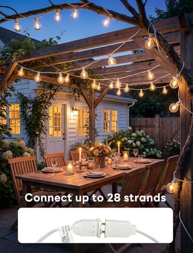 Abeja 25Ft LED Outdoor String Light, Patio Globe String Lights - Image 6