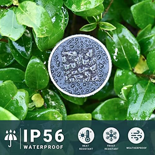 SOLPEX 24 Pack Solar Lights Outdoor, Stainless Steel Solar Pathway Lights - Image 5