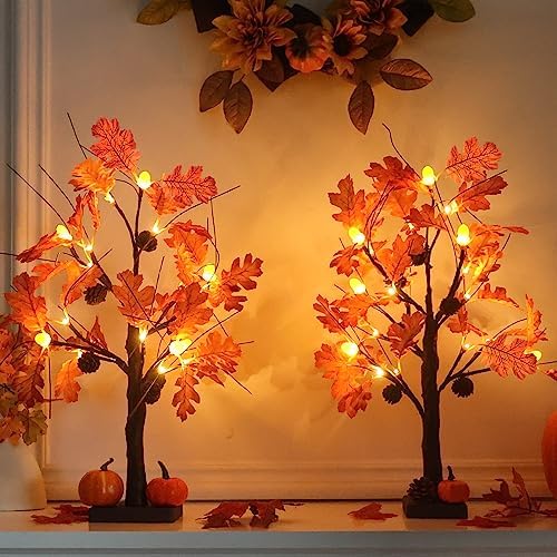 hogardeck Fall Decorations for Home, 2 Pcs 24”2FT Lighted Acorn Leaves Tree Fall Decor with Warm White LEDs, 6 Acorn Lampshades and 6 Pine Cone Ornaments Battery Powered Timer for Autumn, Thanksgiving by HOGARDECK
