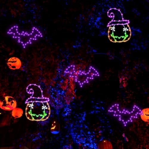 Halloween Window Lights, 2 Pack LED Waterproof Timer Indoor Decor - Image 6