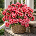 lovemoon 16 Pcs Artificial Geranium Plant Realistic Silk Flowers for Outside UV Resistant Faux Geraniums Flowers for Indoor Outdoor Home Garden Office Decoration (16, Peach) by Lovemoon