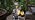 Solar Garden Outdoor Statues Turtle with Lights Resin Statue with Solar Lantern, Decorative Lawn(Turtle 2) - Image 7