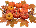 Realistic Mini Pumpkin Decor Indoor 16PCS Artificial Pumpkins for Fall Decorations for Home Fall Centerpieces for Tables Outdoor Thanksgiving Halloween Party/Berries Maple Leaf Autumn Fillers decor by CHEAWRTZ