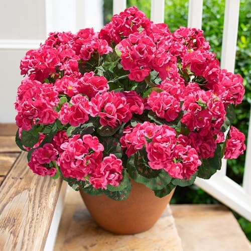 Artificial Geranium Fake Flowers for Outdoors Decoration, 6 Bundles Silk Geraniums Flower UV Resistant Look Real Faux Plants for Outside Planter Front Door Garden Patio Balcony Yard Home, Hot Pink by HyeFloraartificialflowers