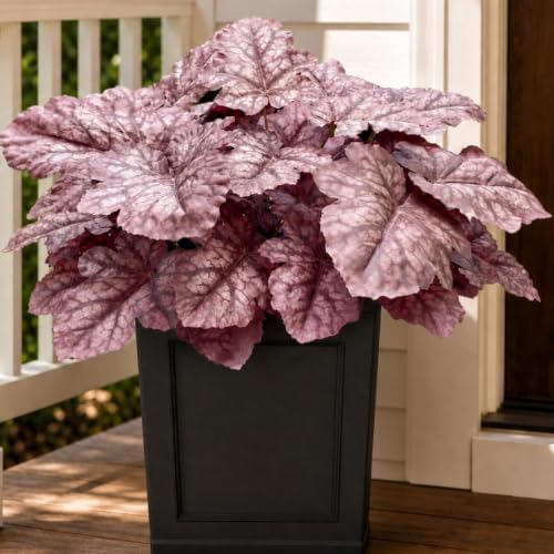 Fall Artificial Plants Faux Coral Bells Greenery for Outdoor Porch Planters by KAFDY