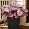 Fall Artificial Plants Faux Coral Bells Greenery for Outdoor Porch Planters by KAFDY