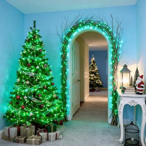 LAMPHOME 200 LED 66FT Green St Patricks Day String Lights, Christmas Fairy Lights with 16 Lighting Modes, String Mini Light Plug in for Indoor Outdoor Tree Garden Wedding Party Decoration - Image 3
