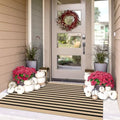 IOHOUZE 3x5 Striped Outdoor Rug, Washable Front Porch, Tan Black by iOhouze