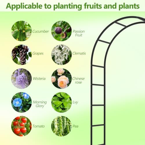 Metal Garden Arch Trellis for Climbing Plants 94.5" H x 55" W - Image 4