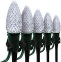 Wintergreen Lighting 25 OptiCore LED C9 Cool White Pathway Christmas Lights, Heavy Duty Bulbs for Driveway, Walkway Marker, 5" Commercial PathPRO Stakes, 18 Gauge Green Wire, 25' by WintergreenLighting