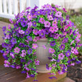 HyeFlora Artificial Flowers for Outdoors Decoration, 2Pcs Dark Purple and Purple Fake Hanging Flowers, UV & Fading Resistant, Faux Decor for Porch Patio Balcony Planter by HyeFloraartificialflowers