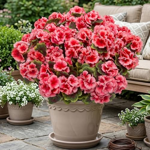 lovemoon 16 Pcs Artificial Geranium Plant Realistic Silk Flowers for Outside UV Resistant Faux Geraniums Flowers for Indoor Outdoor Home Garden Office Decoration (16, Peach) - Image 7