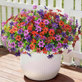 Artificial Flowers for Outdoors Spring Summer Decoration, 12 Bundles Fake Plants UV Resistant Realistic Faux Flower Silk Daisy with Eucalyptus Stem for Patio Planter Porch Yard Window Box Balcony by HomeD%C3%A9cor