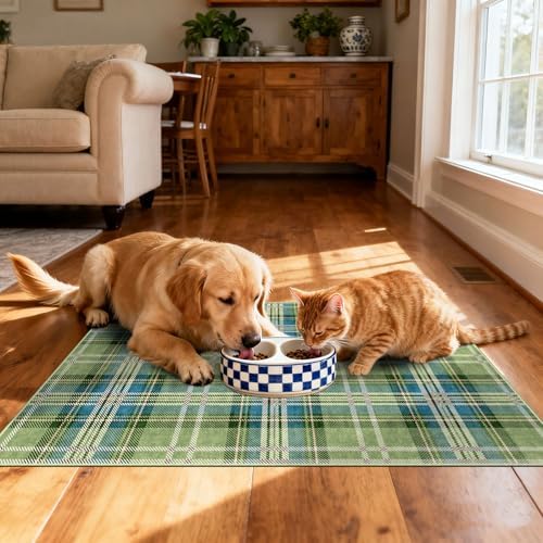 Plaid Outdoor Rug - 28"x43" Front Door Mat Indoor Outside Entrance - Image 7