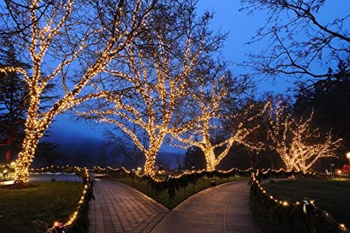 Novelty Lights 24FT 70 LED C6 Christmas Lights, Warm White, Green Wire - Image 6
