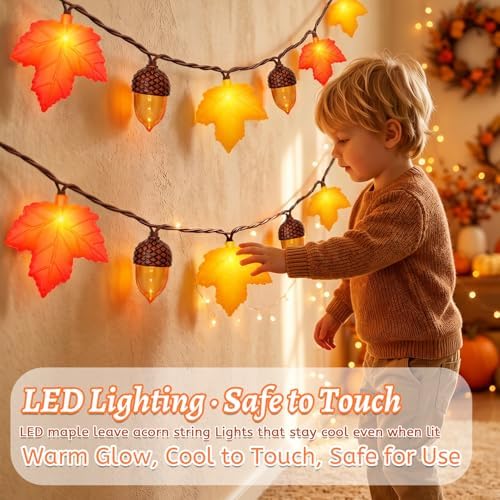 Fall Thanksgiving Decor - 8.5Ft LED Fall String Lights Plug in Orange Yellow Leaves Acorn Lights String, 10LED Acorn Leaf String Lights, Ideal Fall Thanksgiving Harvest Decorations for Home, 0.07W - Image 5