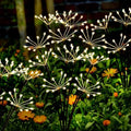 Kwaiffeo Solar Garden Lights 120 LED Decorative Firework Lights 2-Pack Warm by Kwaiffeo