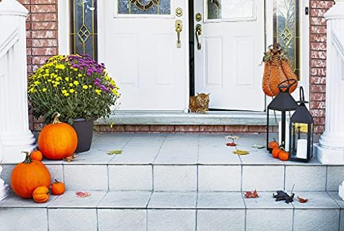 Pumpkin Yard Stakes Sign Outdoor Fall Decor Autumn Garden Stake Art Lawn - Image 5