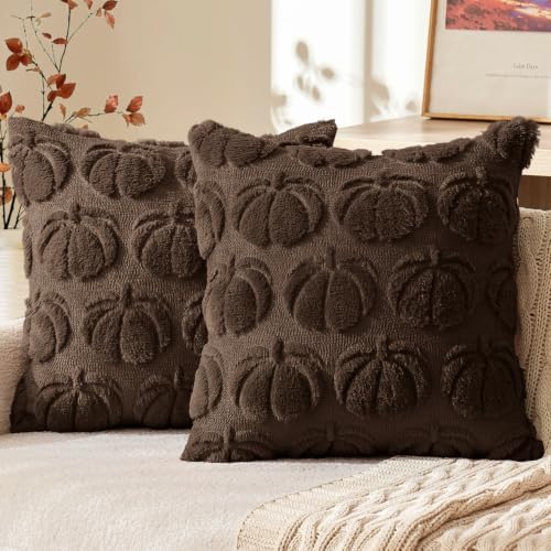 MIULEE Fall Pillow Covers Pumpkin Fall Decor 18x18 Reddish Brown by MIULEE