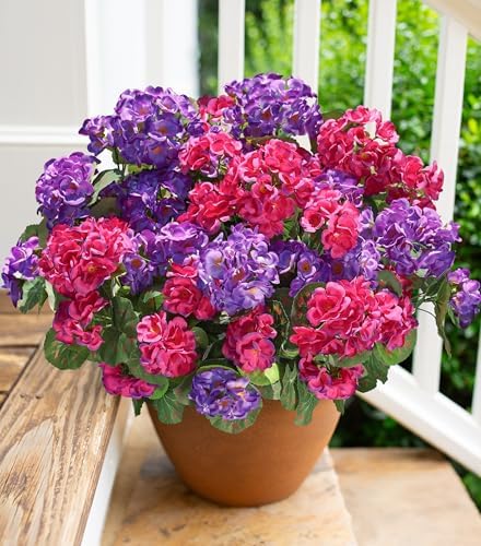 Artificial Geranium Fake Flowers for Outdoors Decoration, 6 Bundles Silk Geraniums Flower UV Resistant Look Real Faux Plants for Front Door Garden Porch Planter Patio Balcony Yard Indoor Home, Mix by HyeFloraartificialflowers