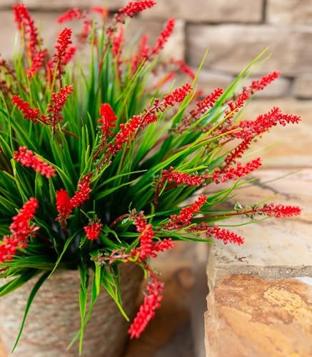 HyeFlora Artificial Fake Flowers Outdoor Plants for Summer Decoration,10 Bundles Faux Plastic Tall Monkey Grass Greenery UV Resistant Realistic Lavender for Home Planter Window Porch Garden-Red - Image 7