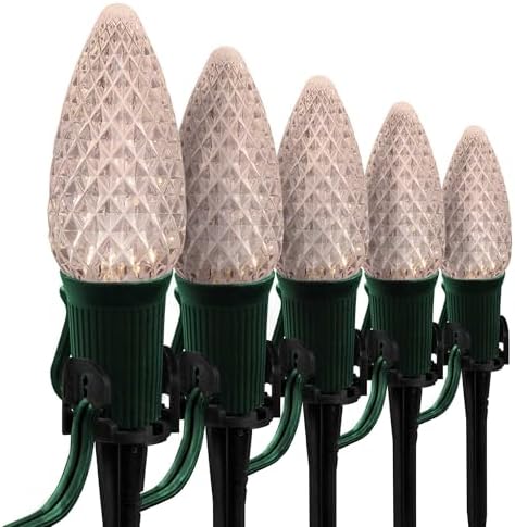 Wintergreen Lighting 25 OptiCore LED C9 Warm White Pathway Christmas Lights, Heavy Duty Bulbs for Driveway, Walkway Marker, 5" Commercial PathPRO Stakes, 18 Gauge Green Wire, 25' by WintergreenLighting