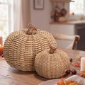 Fuutreo 2 Pack 6.9in 4.3in Pumpkin Fall Decor Resin Woven Pumpkins Figurine by Fuutreo