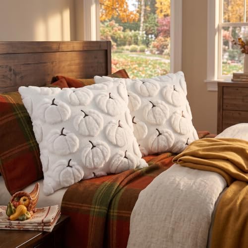 Fall Pillow Covers Pumpkin Fall Decor 20x20 Set of 2 White - Image 5