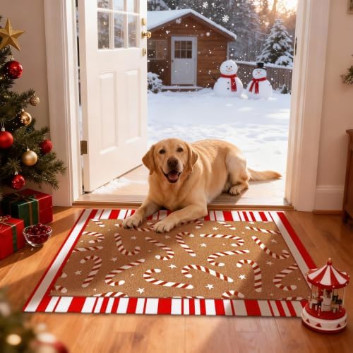 Tinideya 2 23.6 X 35.4 Inches Candy Cane Red White Brown - Image 6